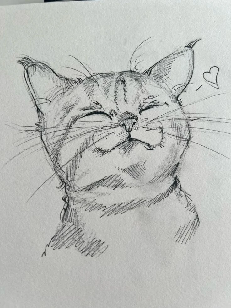 Рисунок котика