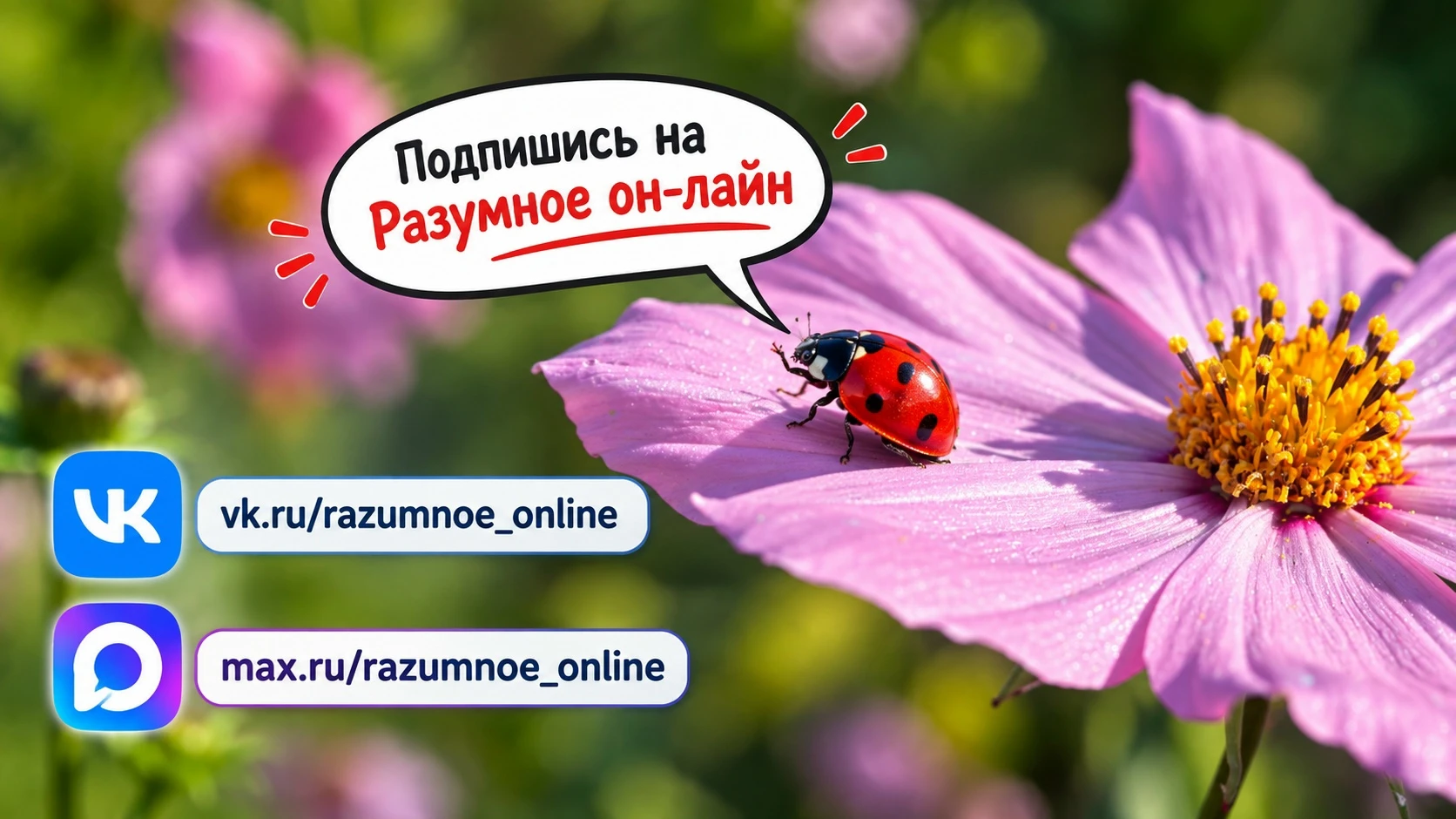 Напоминаем о всех наших ресурсах: