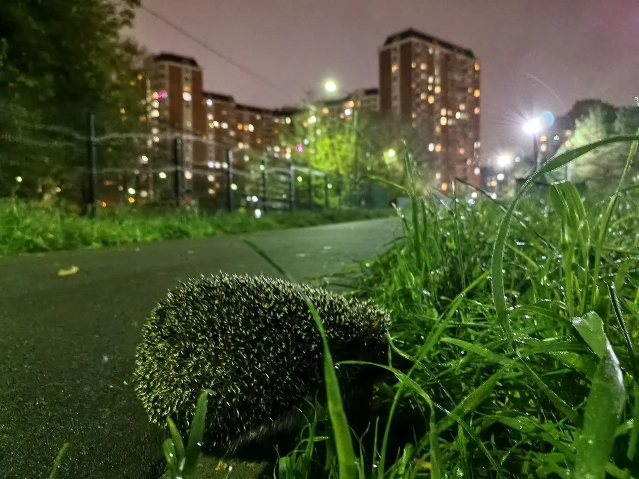 #фоткананочь
