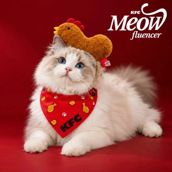 Сингапурский KFC открыл вакансию мечты, но не для нас. Там разыскивают кота, который ст...