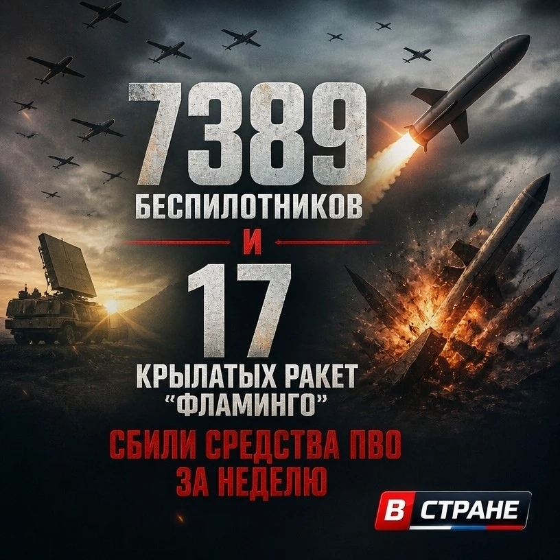 ❗7389 беспилотников и 17 крылатых ракет «Фламинго» сбили средства ПВО за неделю, сообщи...