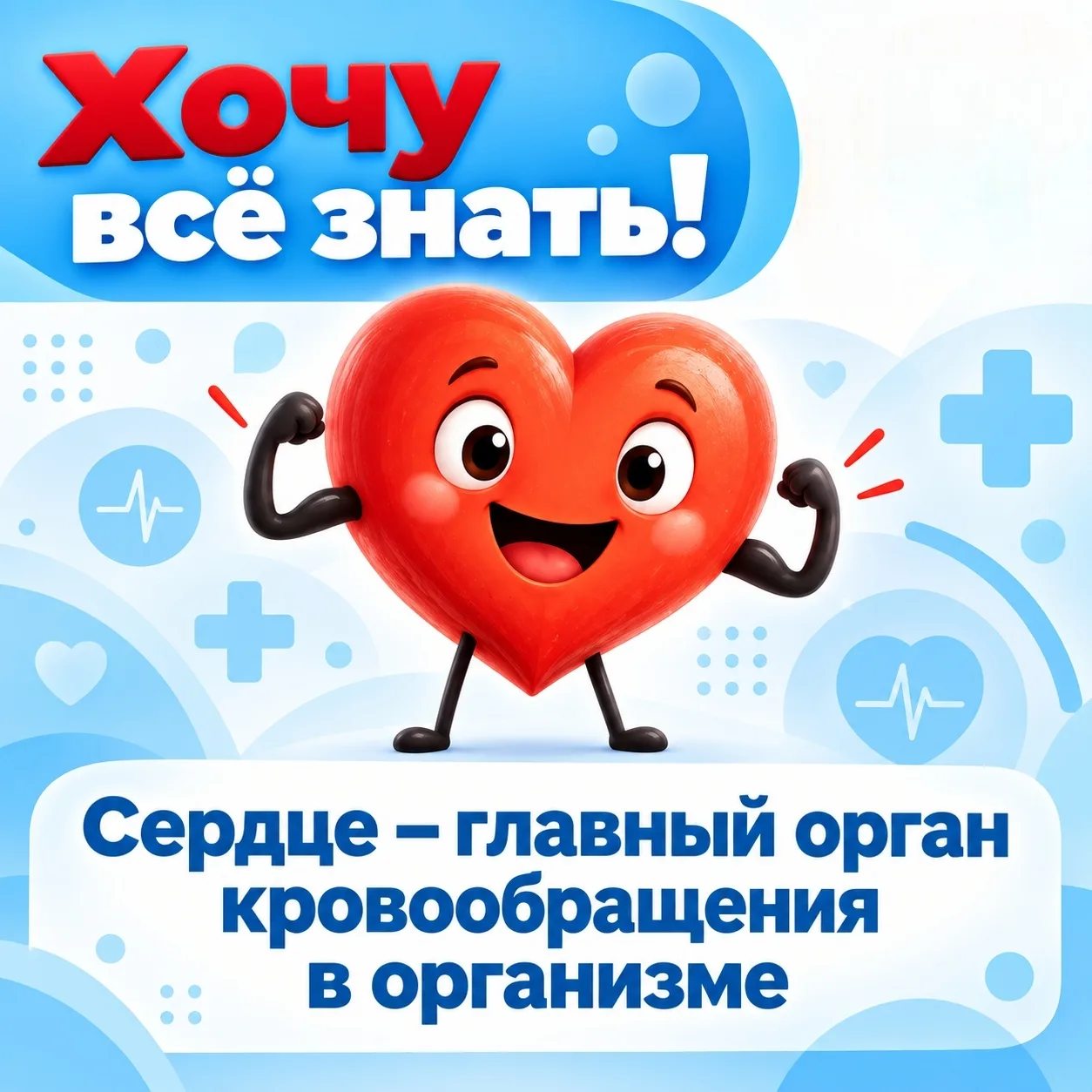 ♥️ 10 интересных фактов о сердечно-сосудистой системе