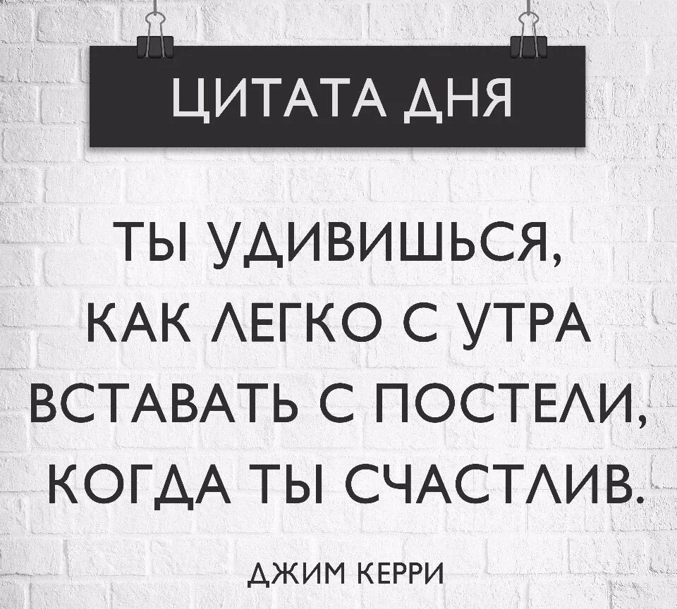 Цитата дня