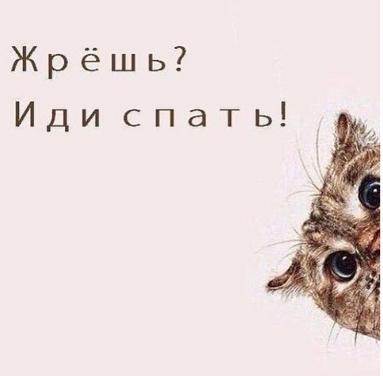 🤣🤣🤣