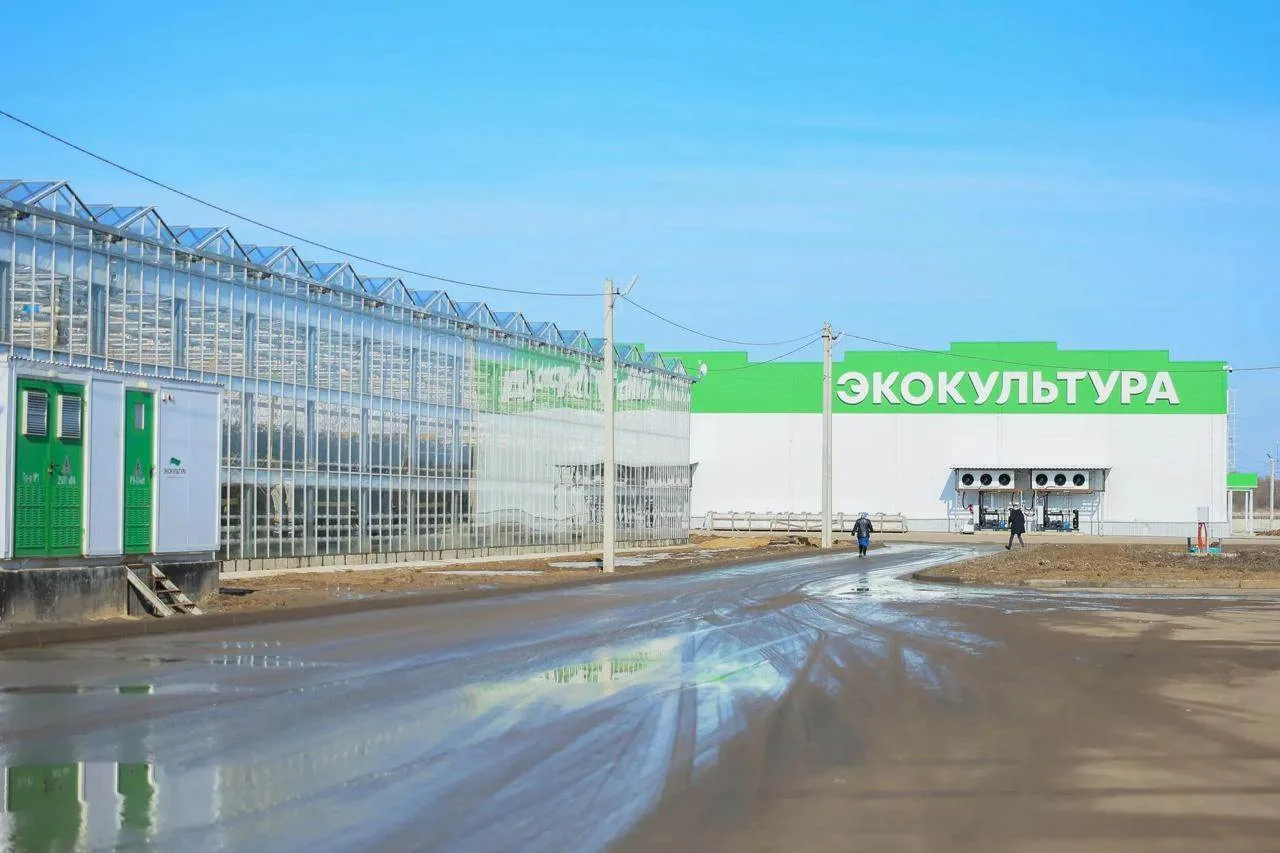 Налоговая хочет обанкротить «ЭКО-культуру» Александра Рудакова из-за долга 148 млн рублей.
