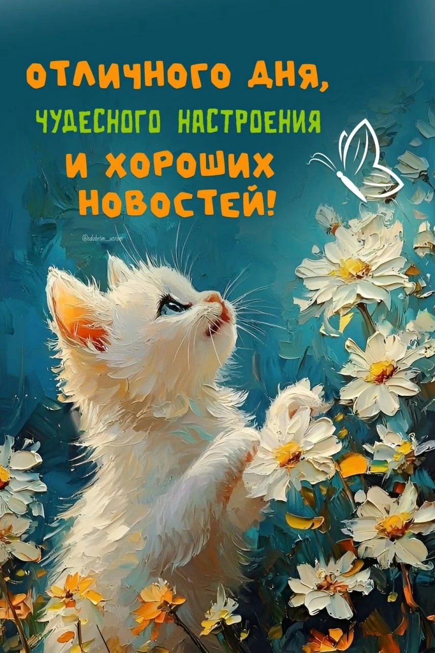 🥰 Оставляйте реакции, если понравилась открытка и делитесь с близкими ❤️