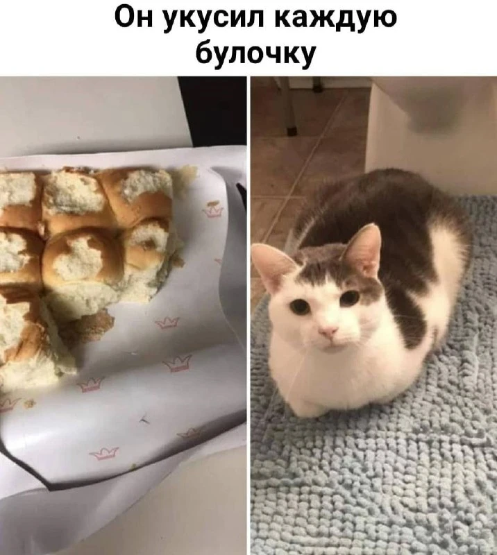 Мемы каждый день • Подписаться