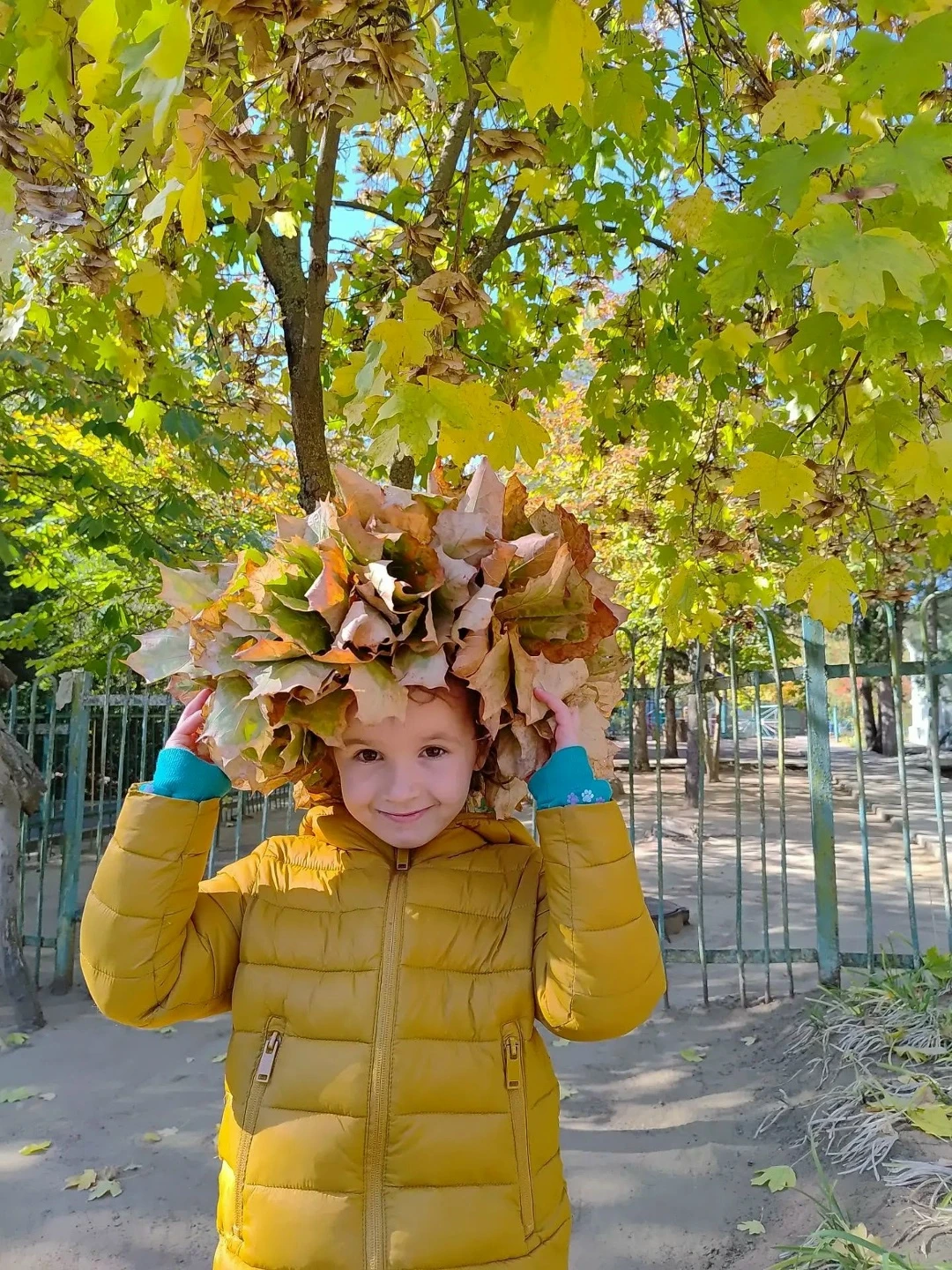Осень в объективе🍁