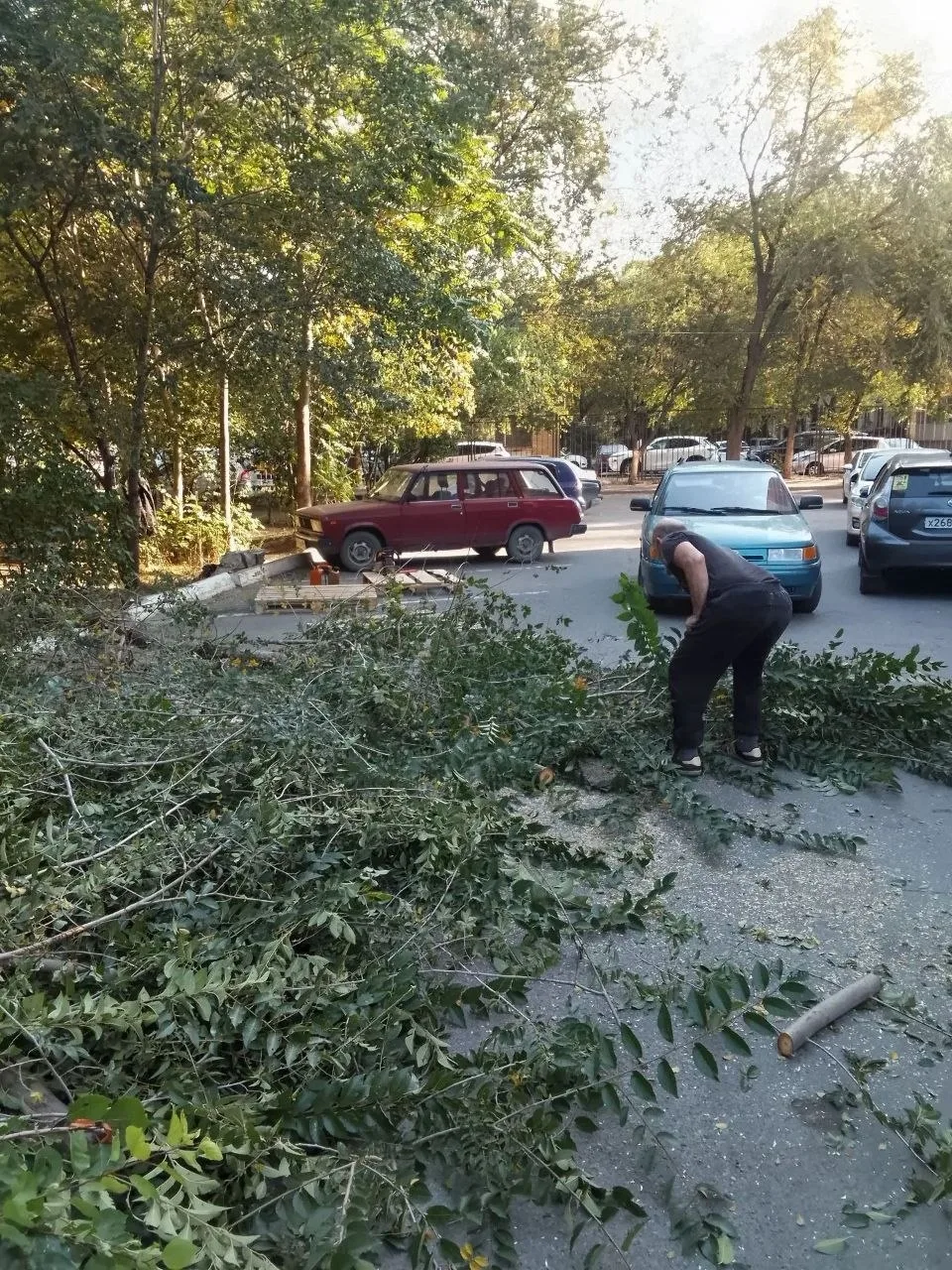 🔴❌🌳 В Азове опять пилят деревья на Инзенской 13"а" и "б" возле дома 11‼️
