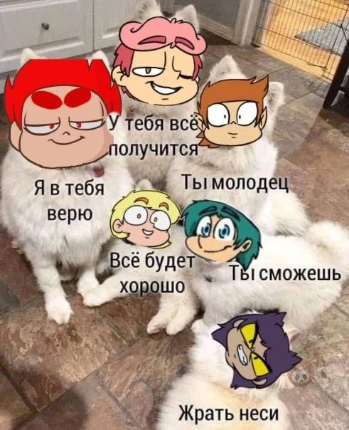 Жрать неси