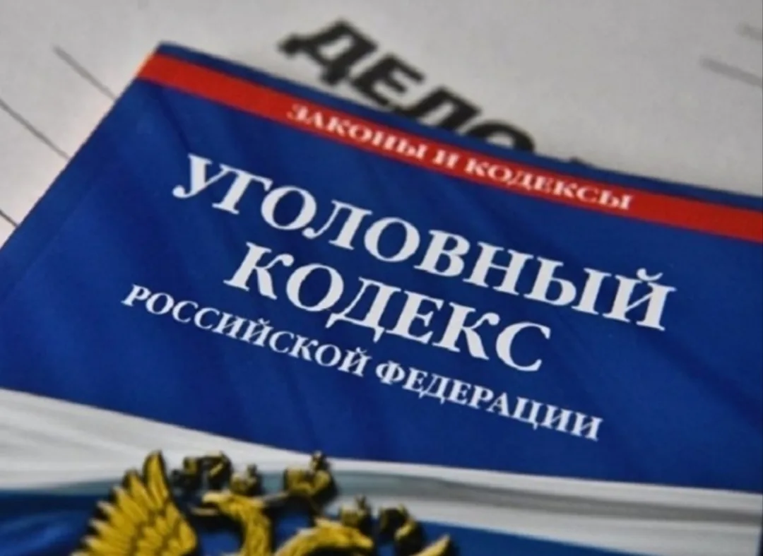 ❗В Советском округе возбуждено уголовное дело в отношении местной жительницы, оформивше...