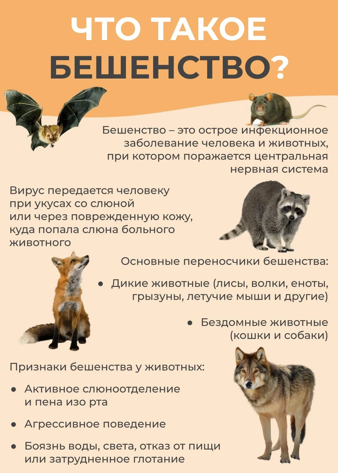 28 сентября – Всемирный день борьбы с бешенством