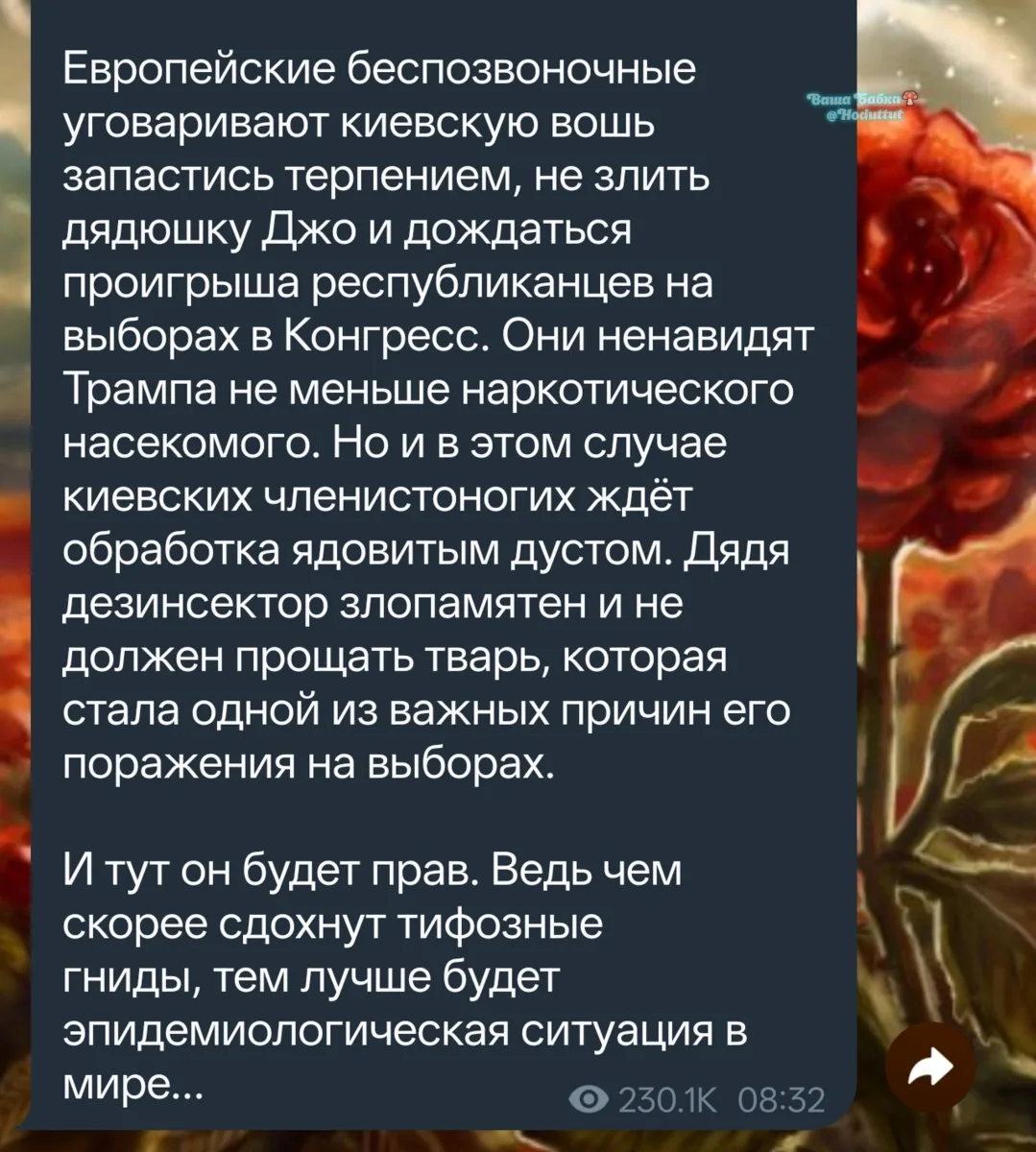 Рубрика найди кота угадай автора😎