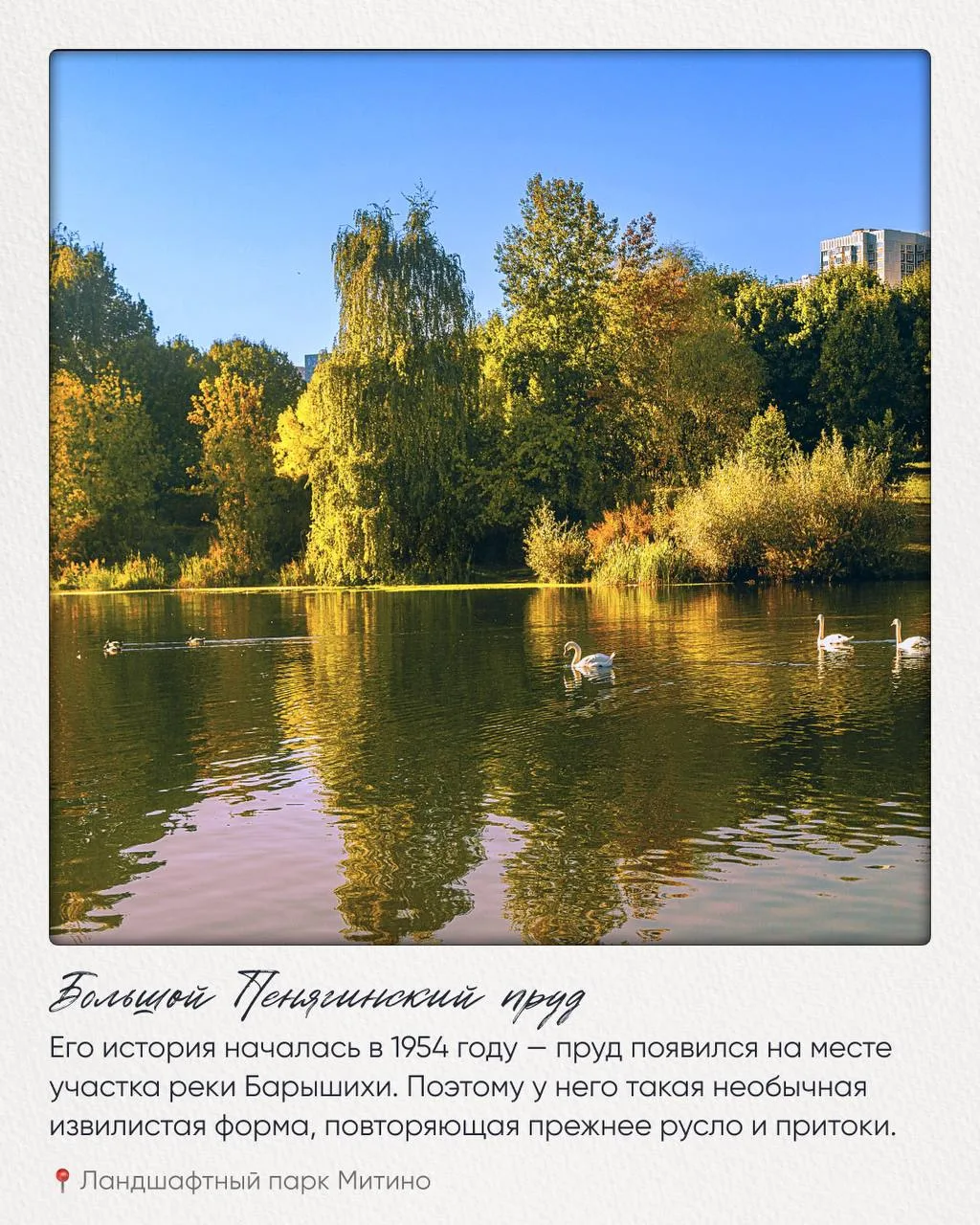 Осень в этих парках отражается в воде 🍂