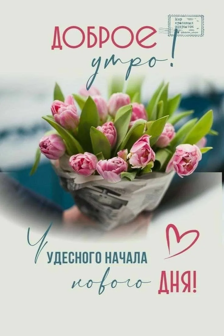 Красивые открытки❤️