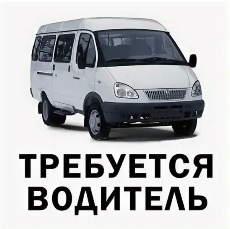 Водитель автомобиля.