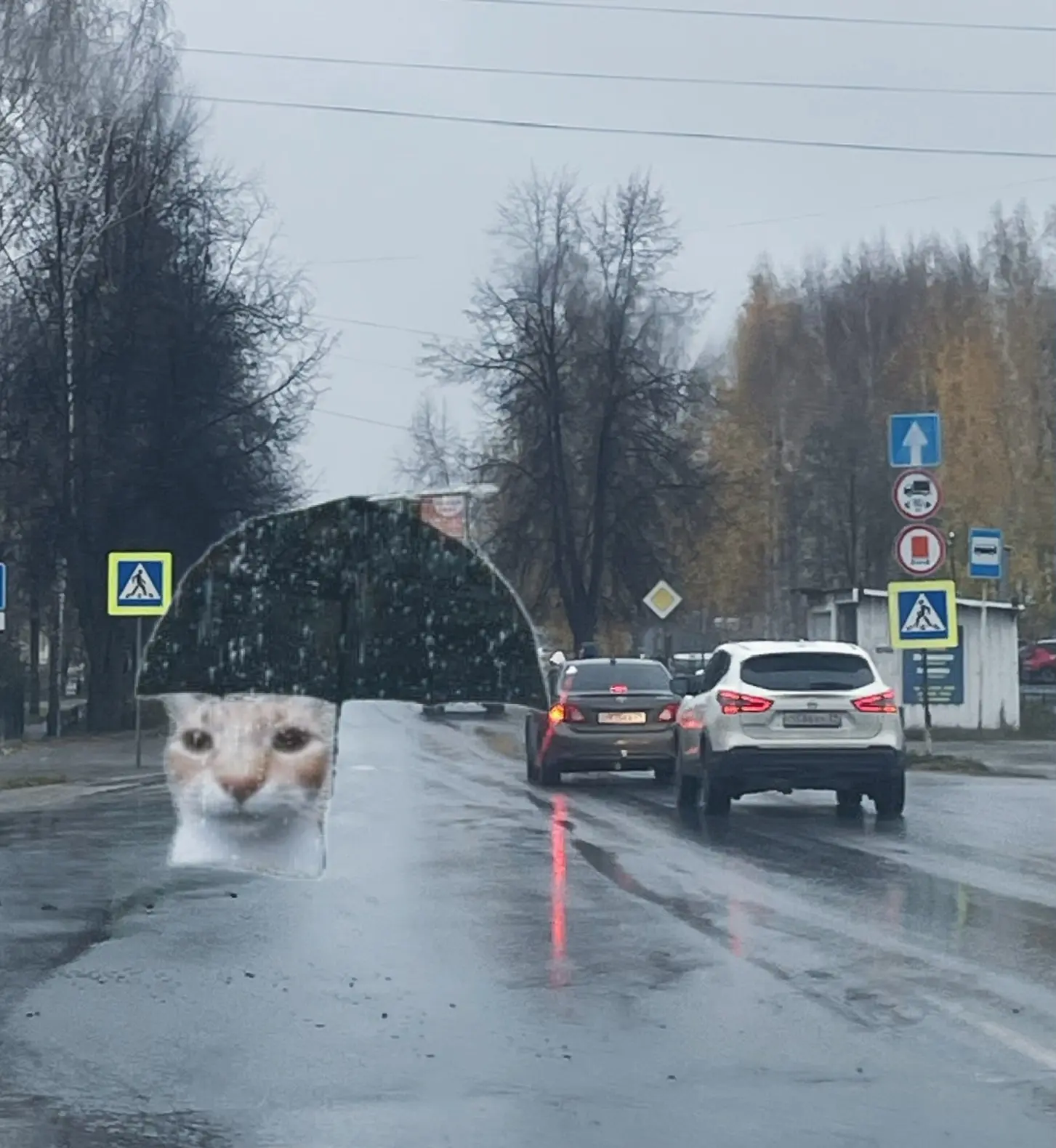 Как можно сидеть дома, когда на улице такая красота