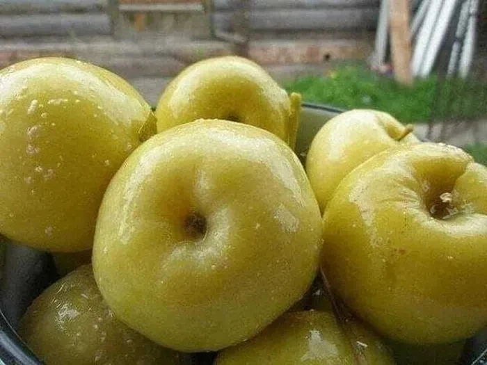 МОЧЁНЫЕ ЯБЛОКИ