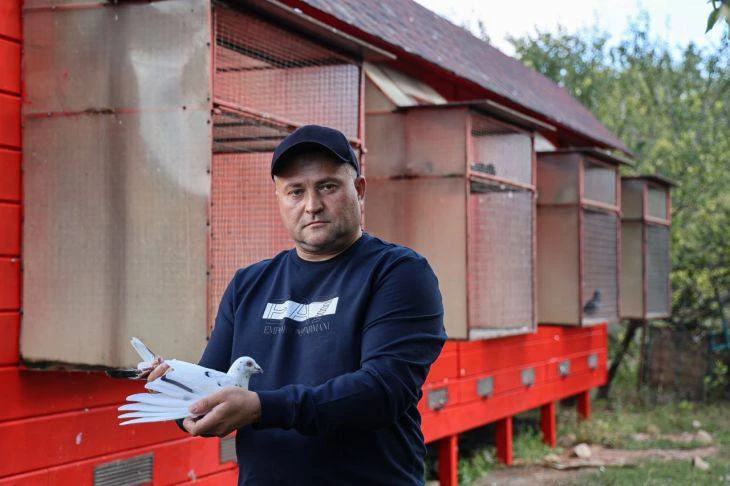🕊 Голубка пролетела 1600 километров из Казани в Крым, чтобы вернуться домой