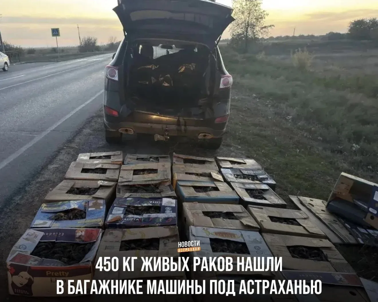 Инспекторы нашли в багажнике астраханца почти полтонны раков