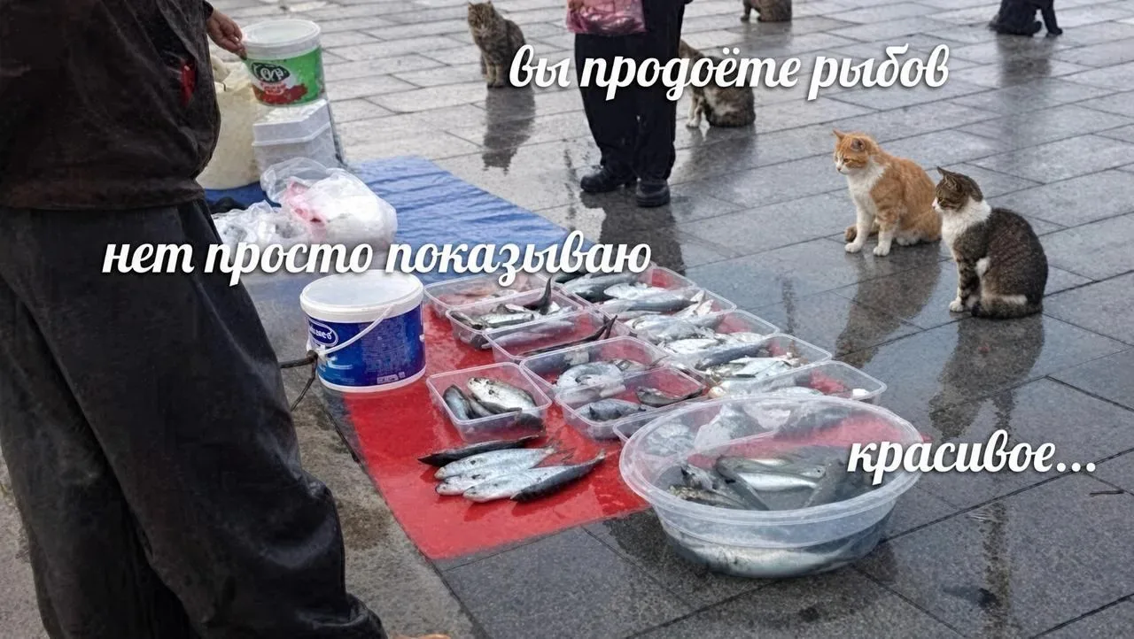 Рыбопереработчики заявили об обнищании россиян.