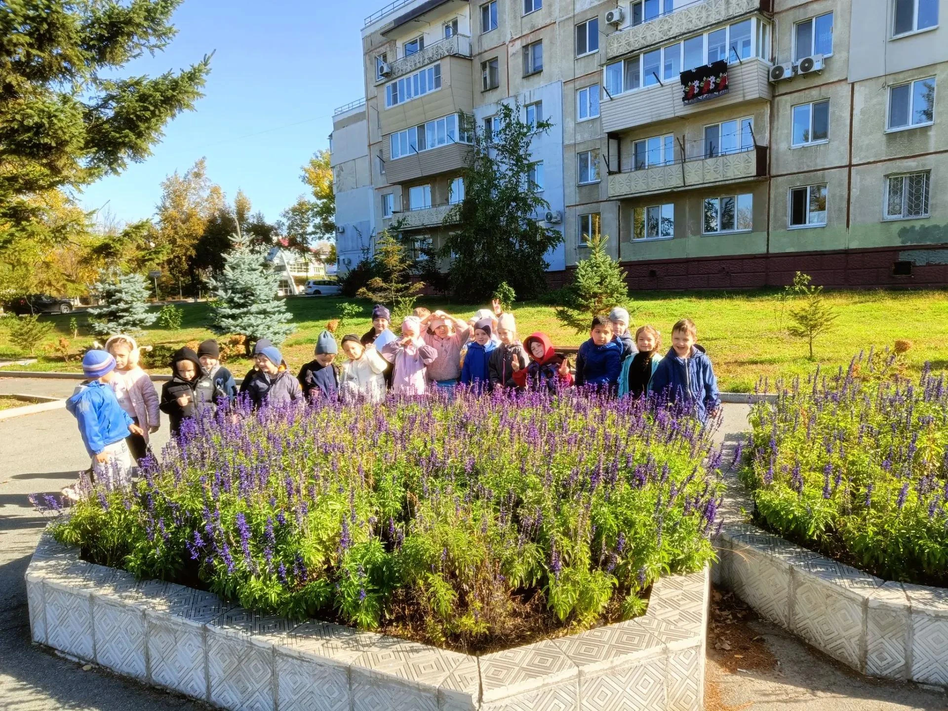 Осень – одно из благоприятных времён года для наблюдений за изменениями в природе и осу...