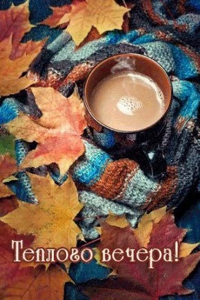 Открытки: подписаться ❤️