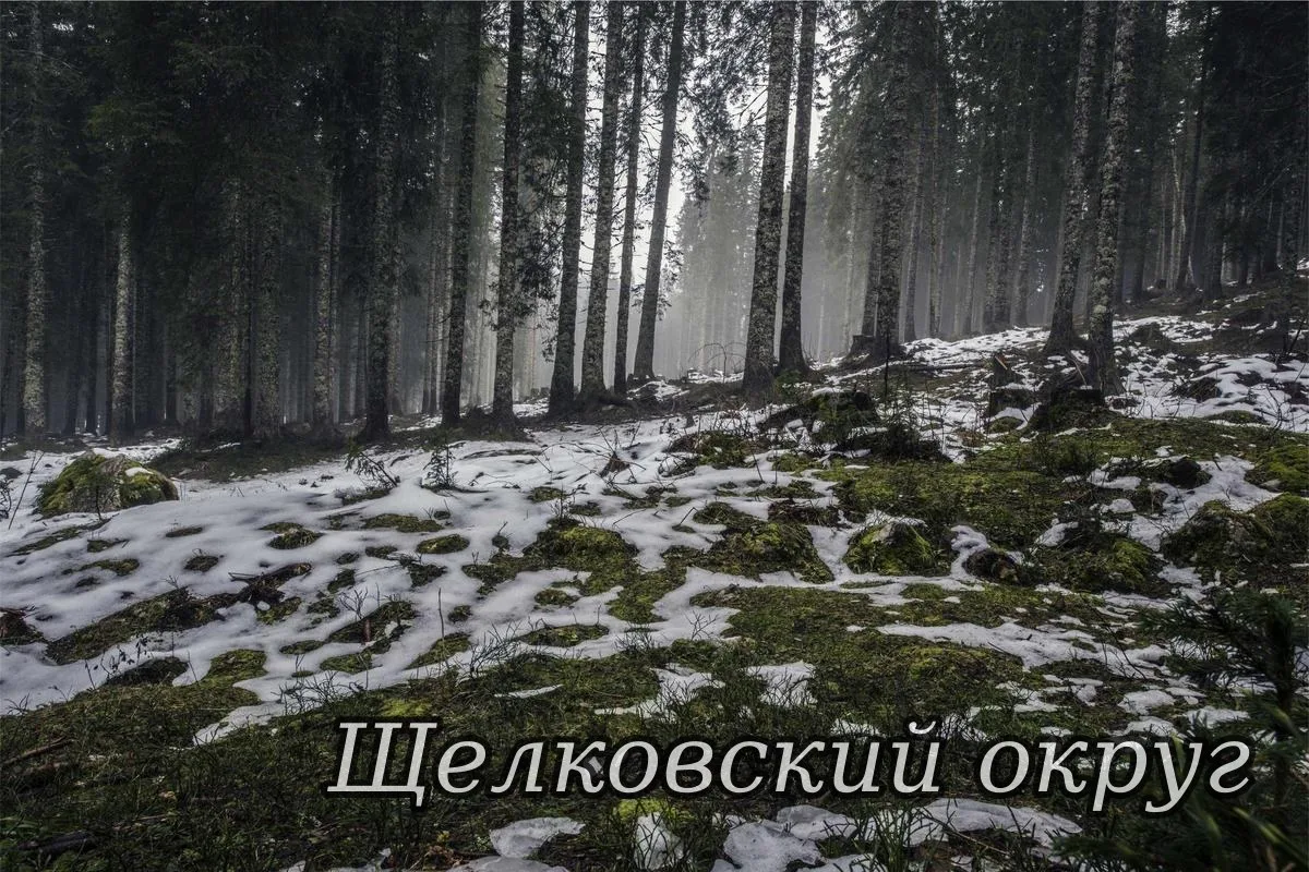 🗓 16.10.2026 года