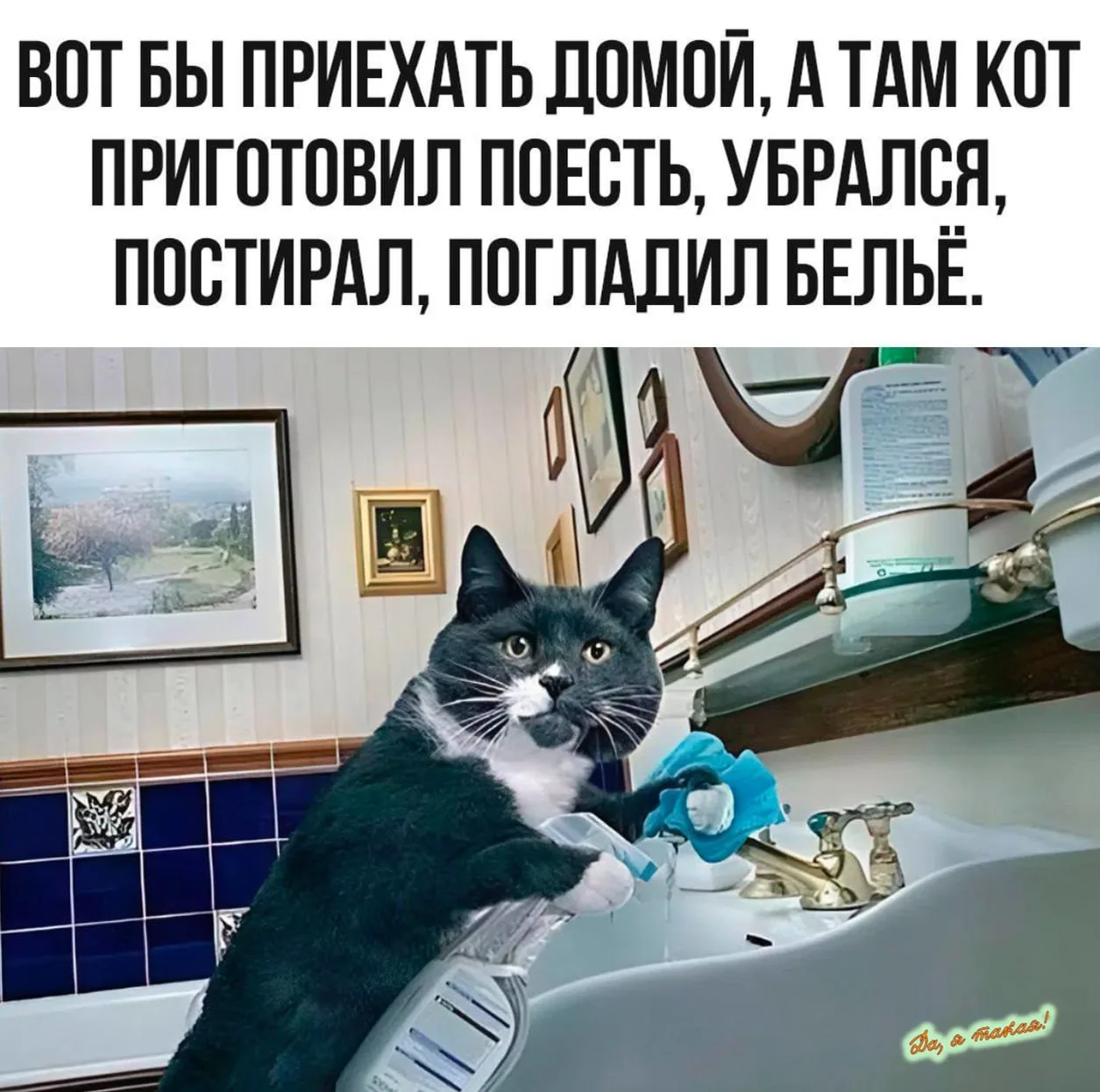 КУКУРУЗА 🌽