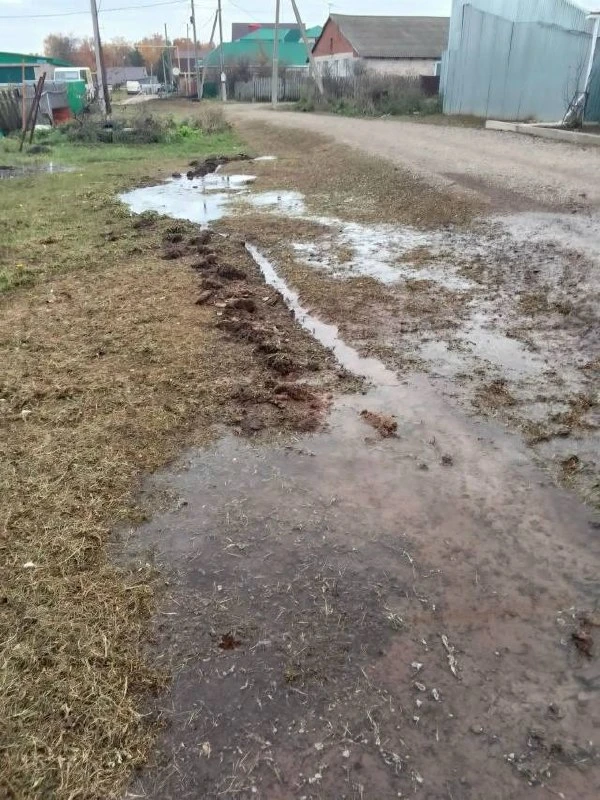 В Подлесном сообщают о прорыве воды