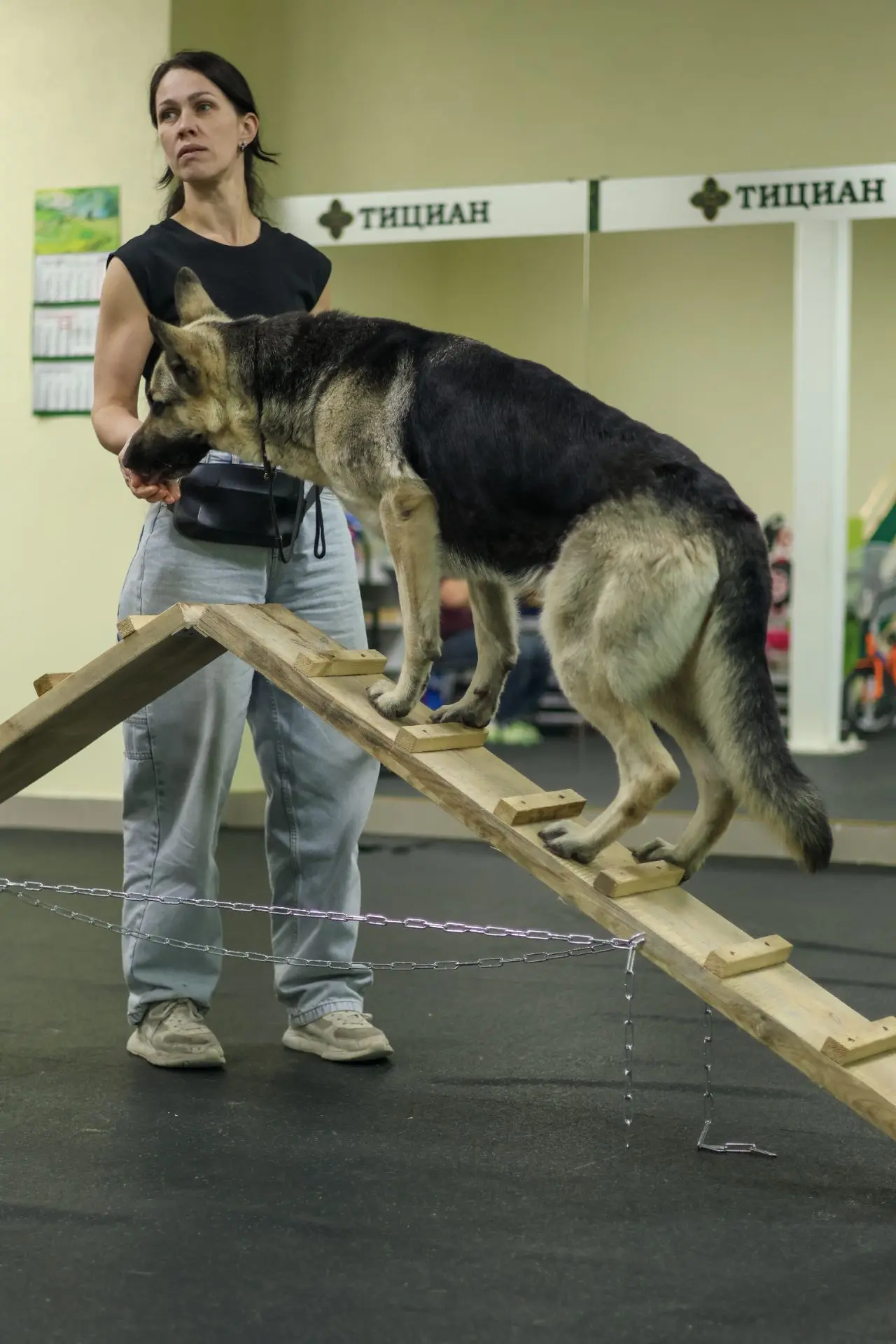 Тициан центр красоты и здоровья животных💚 Дог фитнес 🐶🐕🦮