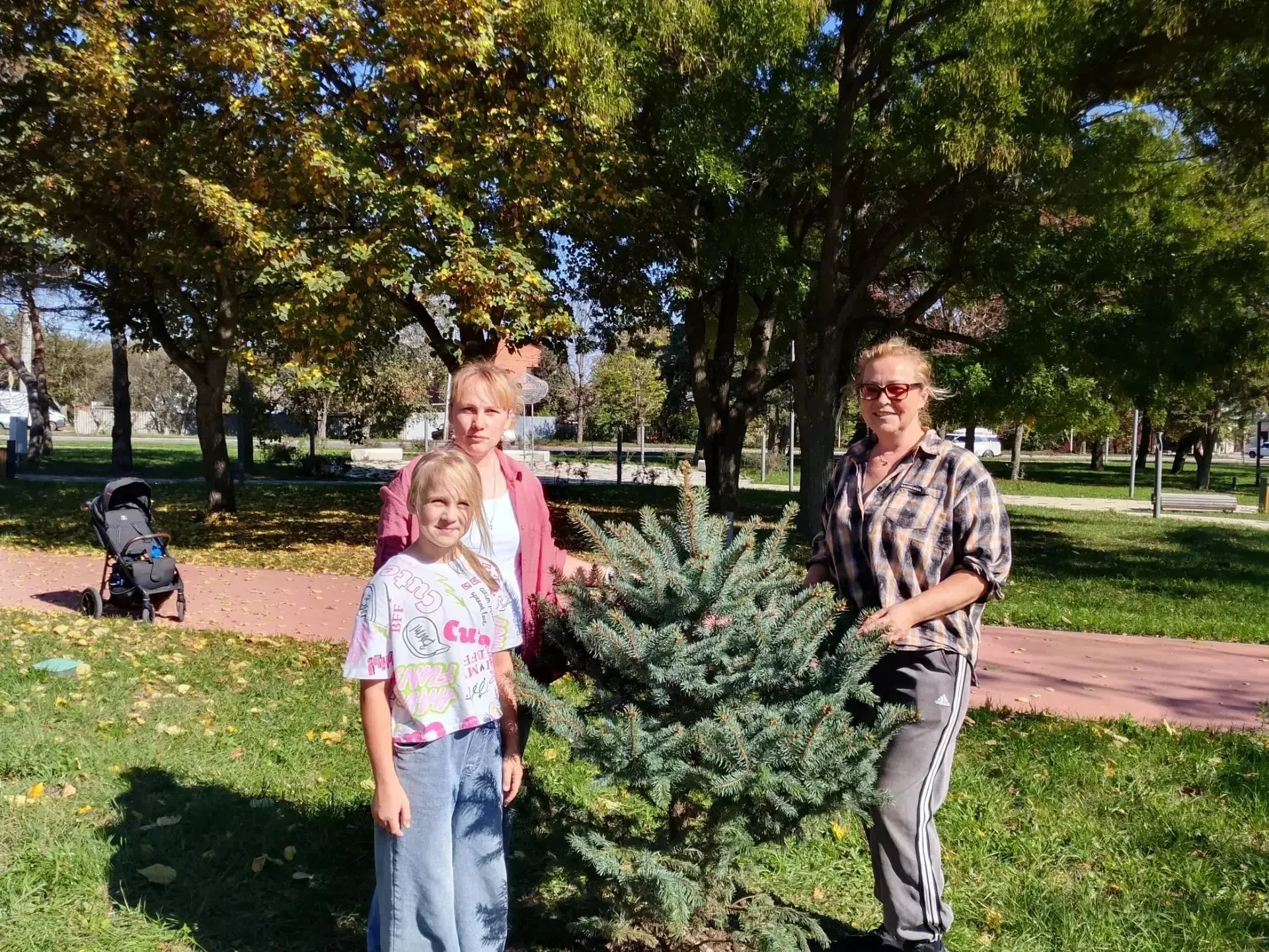 🌲 В Ессентуках высадили ели