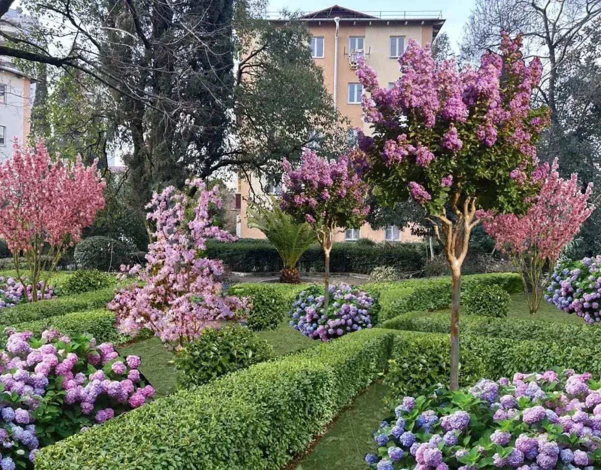 🌳 Новый сквер с 350 деревьями и кустарниками появится в Сочи.