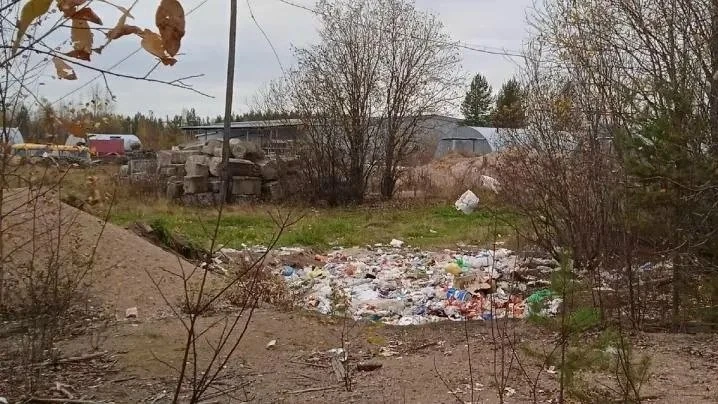 Ягодный сезон в Карелии – это не только прибыль и витамины, но и, как выяснилось, серье...