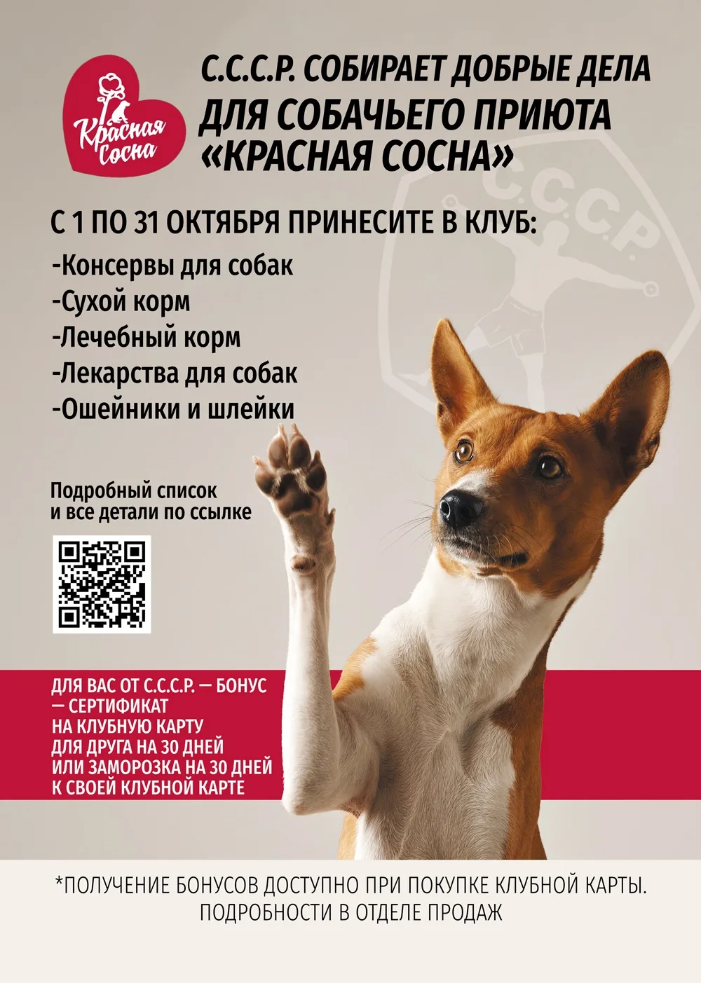 🐾 С.С.С.Р. снова собирает добрые дела!