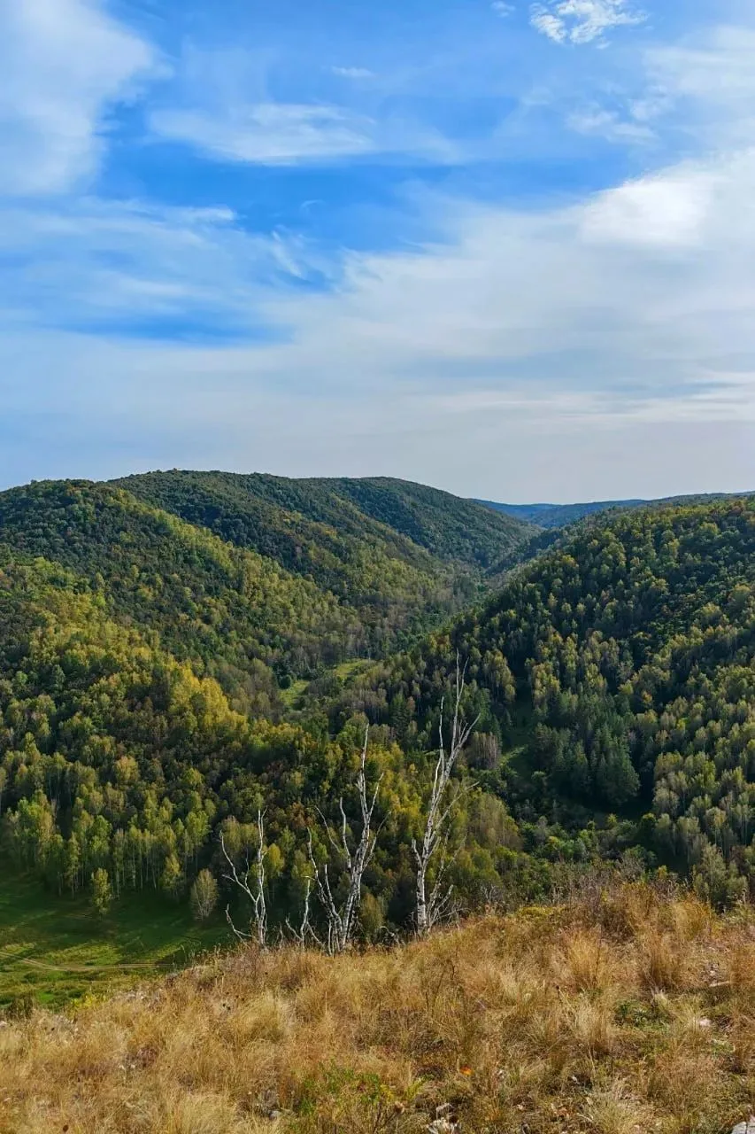 🏔 Гумеровское ущелье и Бужа-тау — место, где природа впечатляет масштабом.