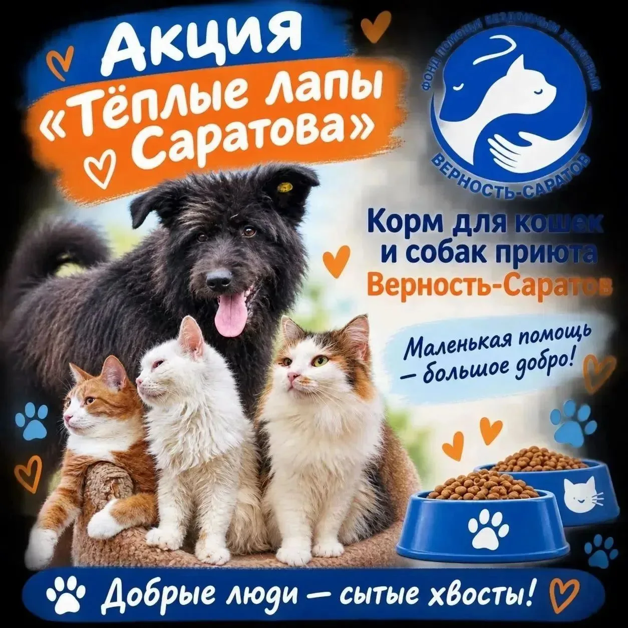 4 октября Всемирный день защиты животных.🐕🐈.