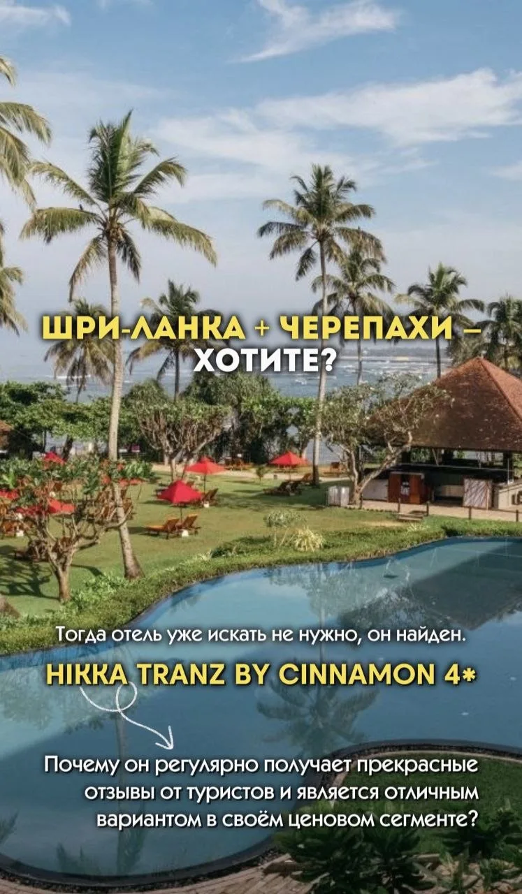 🇱🇰ШРИ-ЛАНКА + ЧЕРЕПАХИ - ХОТИТЕ?