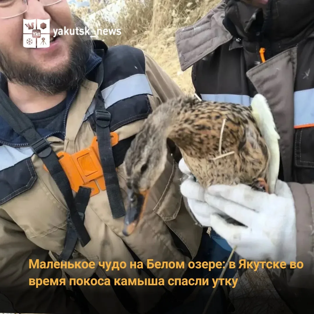 Добрая история произошла на Белом озере в Якутске. Сотрудники Управы Гагаринского округ...
