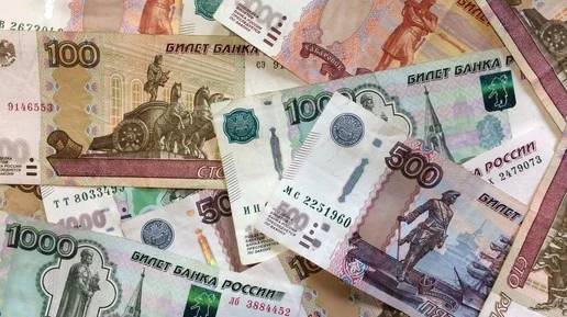 В Ленобласти молодой человек попытался дать инспектору ДПС взятку в 13 тыс.
