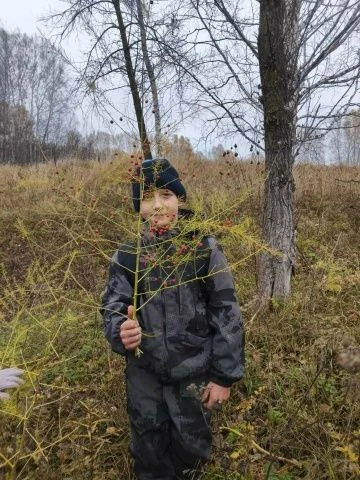 ☘️Обучающиеся дополнительной общеобразовательной программы «Юный турист» Дома детского ...