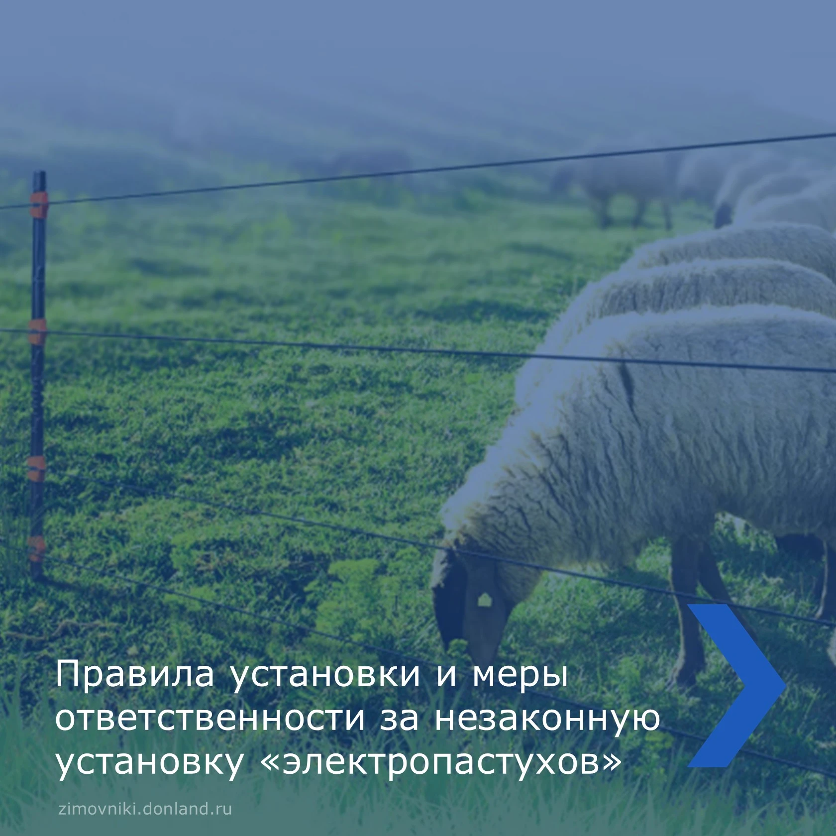 Устанавливать ограждения, включая электропастухи, можно только на своей земле — в собст...