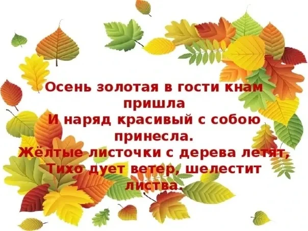 🍁Группа «Капитошки» приняла участие в уборке опавшей листвы на территории детского сад...