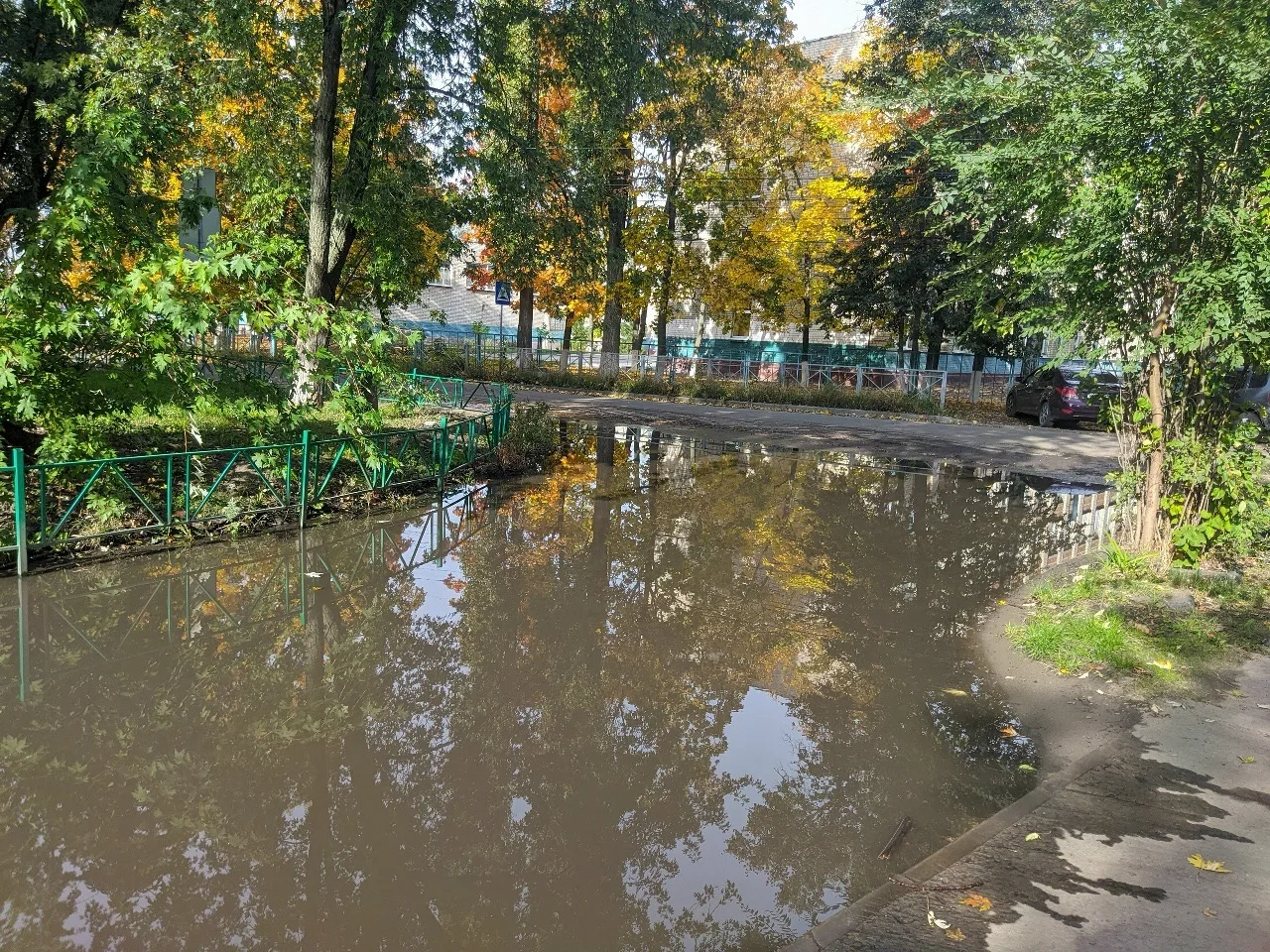 Третью неделю ул. Менделеева в Курске тонет в фекальных водах