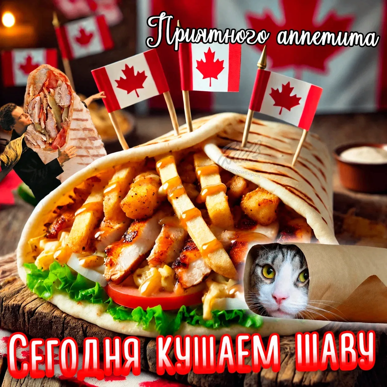 🇨🇦🌯 В Канаде сегодня отмечается День шаурмы
