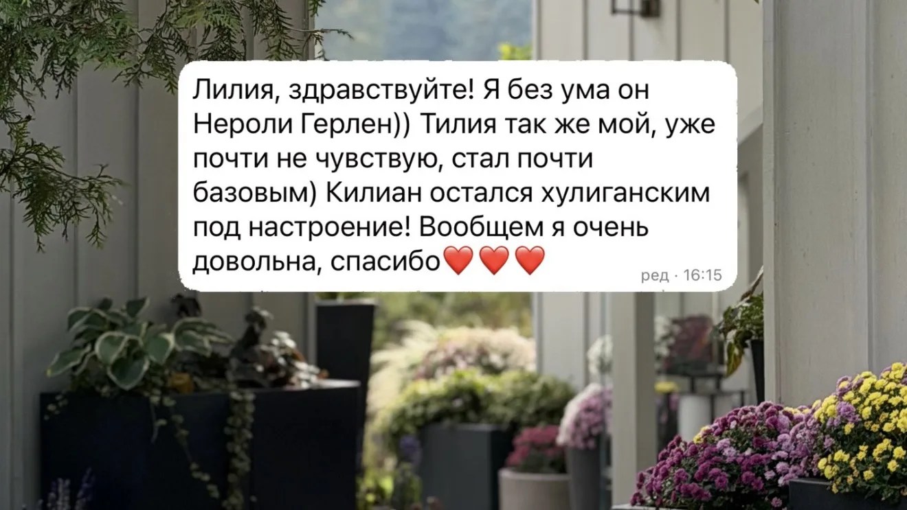 #вашиотзывы