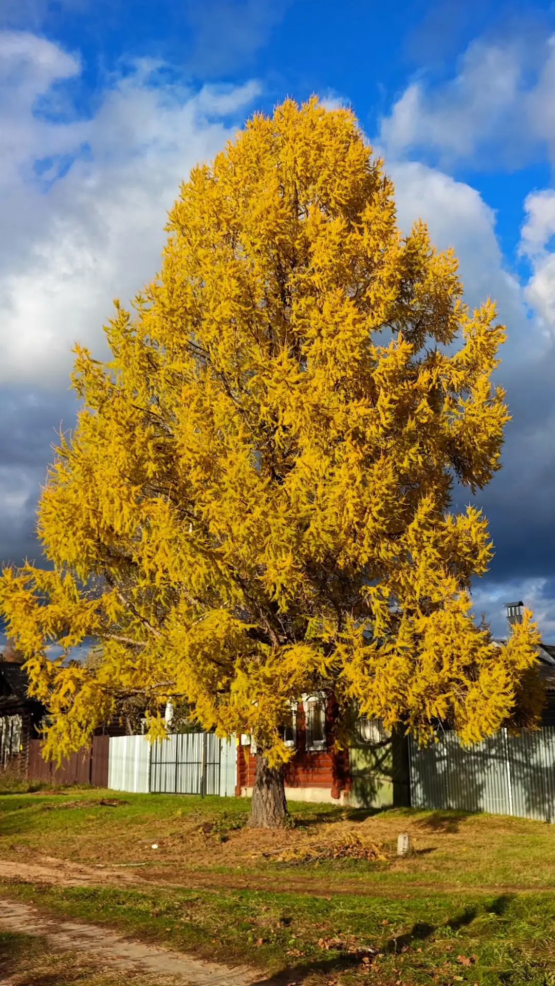 🍂 Делимся осенними фотографиями без фильтров! 📸