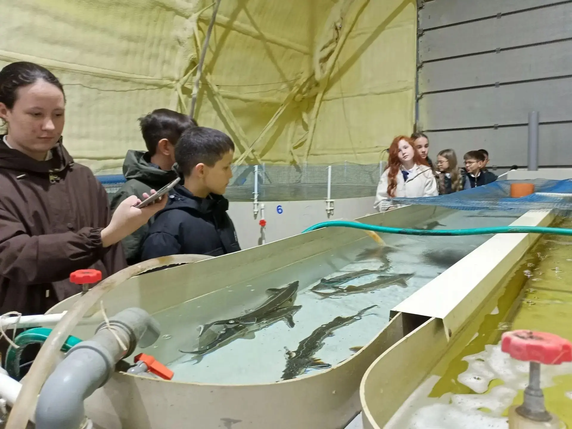 Шестиклассники из Мамадыша познакомились с работой осетрового цеха 🐟