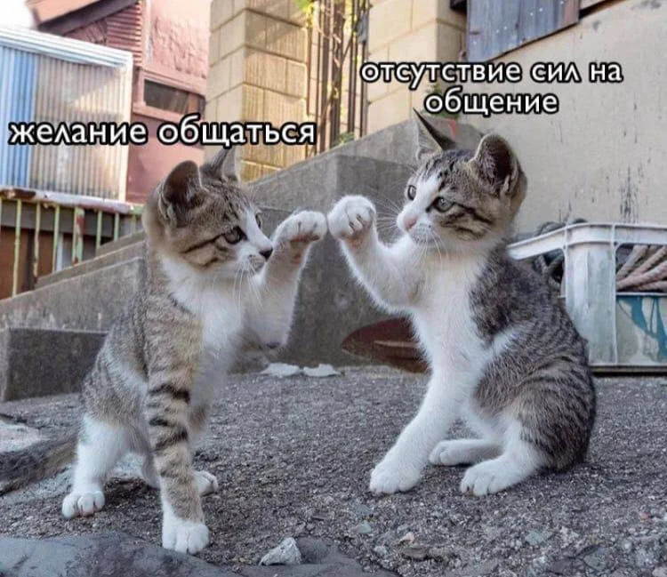 Мемы каждый день • Подписаться