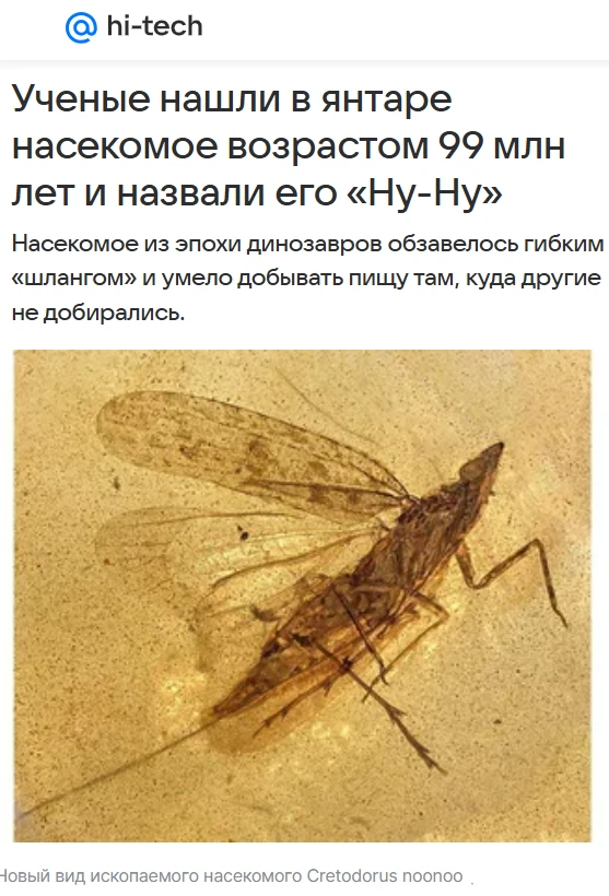 🧾 Всего ученые изучили 13 ископаемых экземпляров древнего семейства Neazoniidae, сохра...